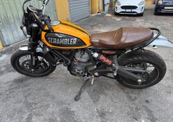 Ducati Scrambler 800 Classic (2015 - 16) usata