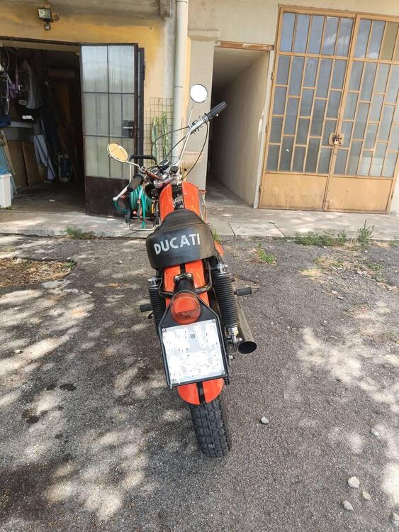 Ducati Scrambler (4)