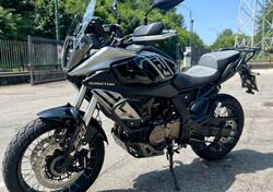 QJ Motor SRT 600 SX (2024 - 25) usata