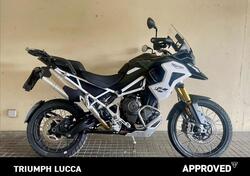Triumph Tiger 1200 Rally Pro (2024 - 25) usata