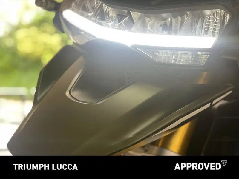 Triumph Tiger 1200 Rally Pro (2024 - 26) (7)