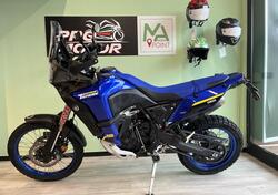 Yamaha Ténéré 700 World Raid (2022 - 25) usata