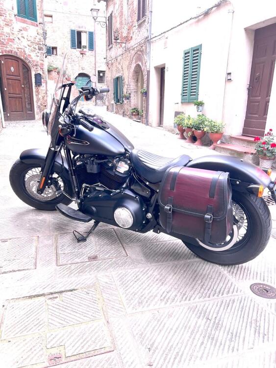 Harley-Davidson 107 Slim (2018 - 20) - FLSL (2)