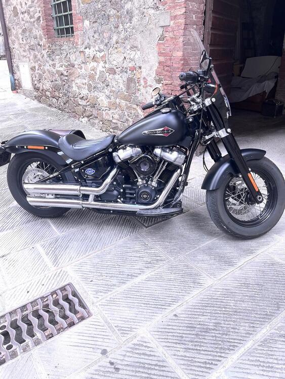 Harley-Davidson 107 Slim (2018 - 20) - FLSL (3)