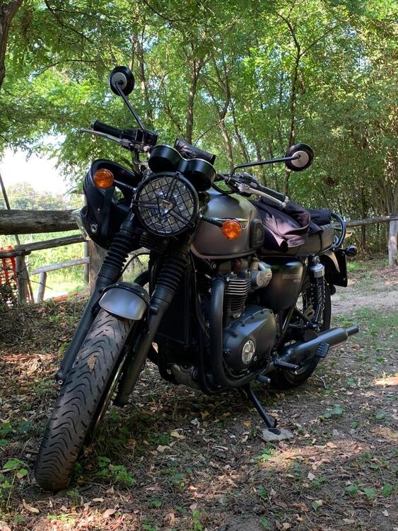 Triumph Bonneville T120 (2016 - 20) (3)