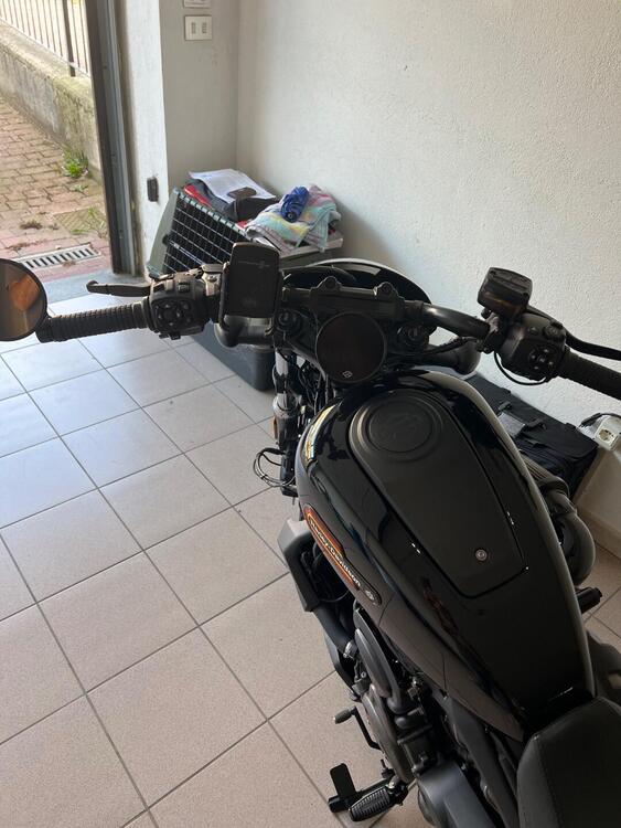 Harley-Davidson Nightster Special (2023 - 25) (4)