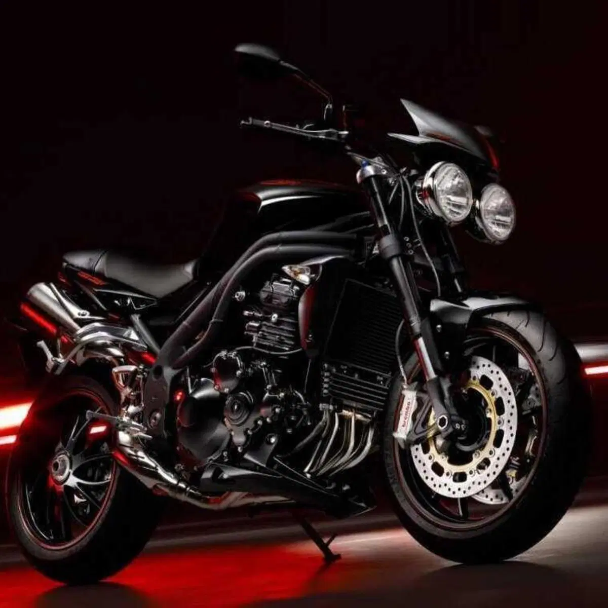 Triumph Speed Triple 1050 SE 15th Anniversary (2009 -10)