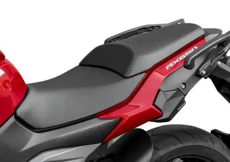 Cyclone RX650 RX650 (2025 - 26) (10)