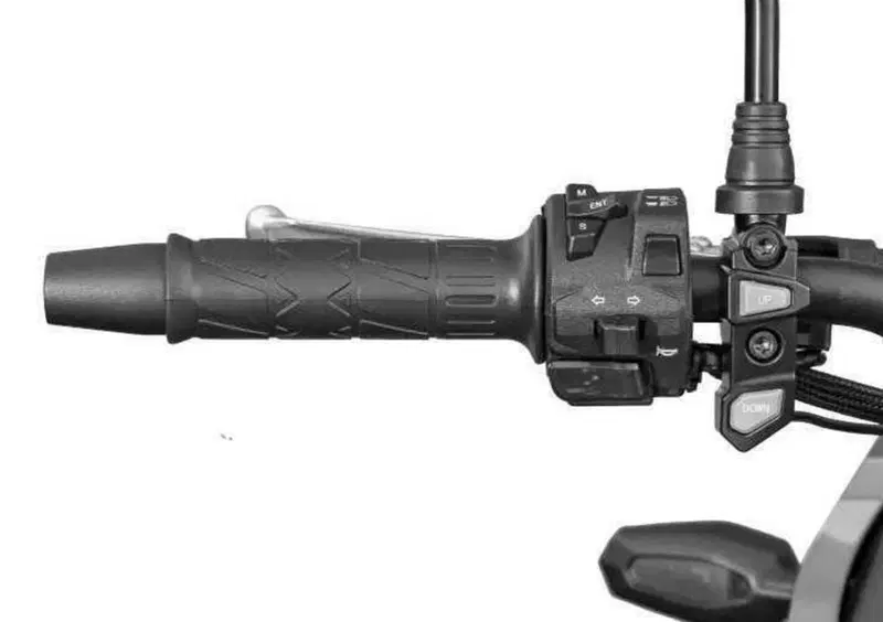 Cyclone RX650 RX650 (2025 - 26) (12)