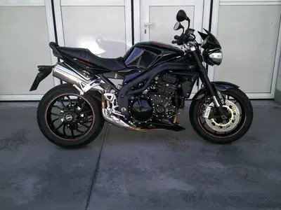 Triumph Speed Triple 1050 SE 15th Anniversary (2009 -10) usata