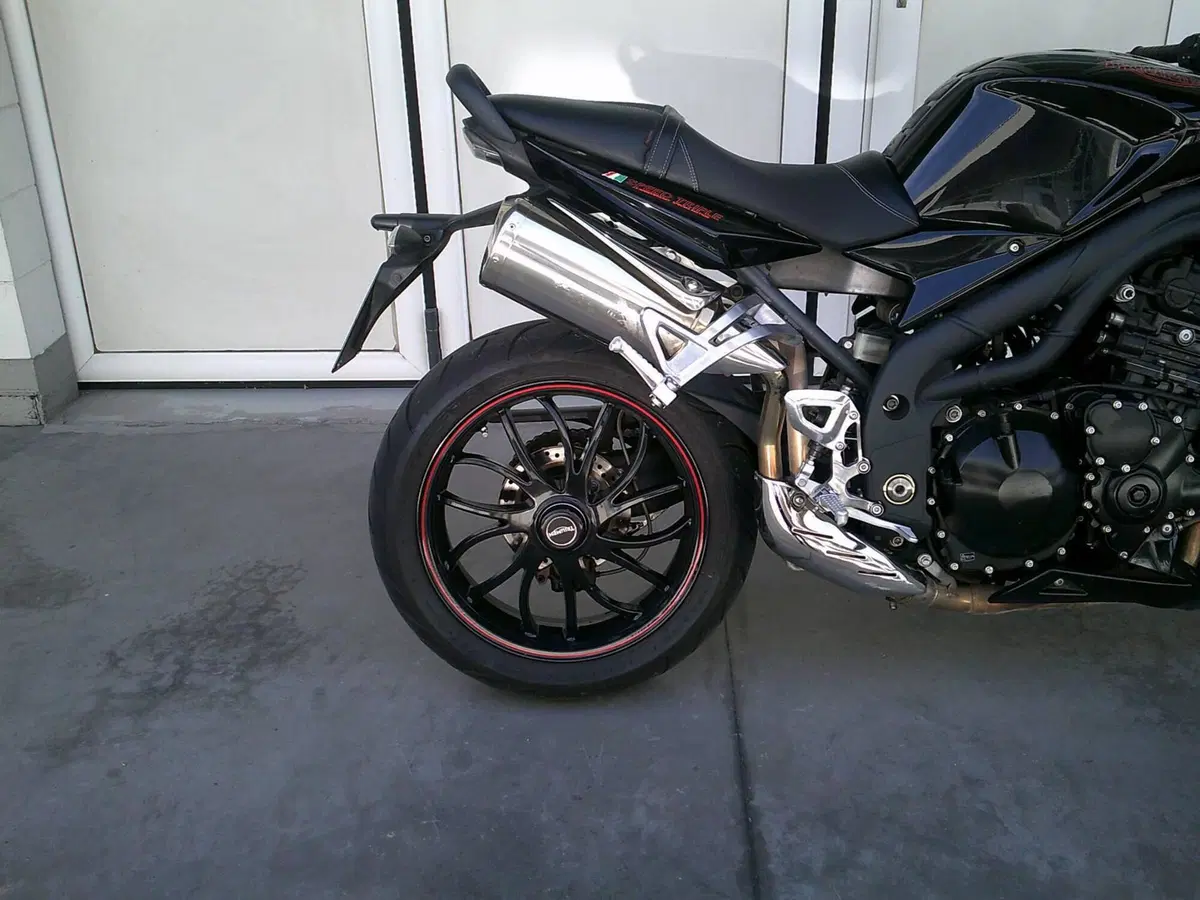 Triumph Speed Triple 1050 SE 15th Anniversary (2009 -10) (6)