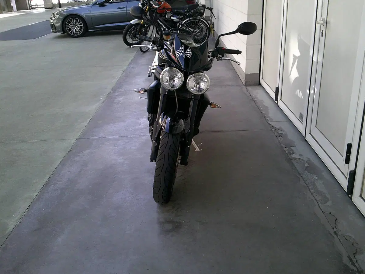Triumph Speed Triple 1050 SE 15th Anniversary (2009 -10) (5)