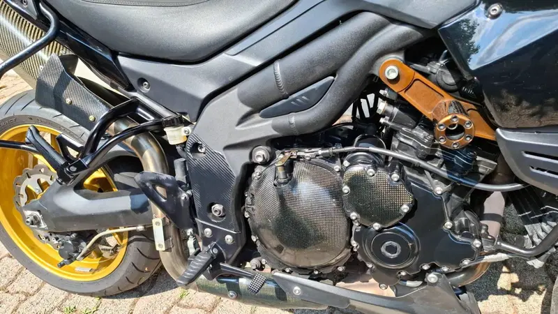 Triumph Tiger 1050 (2006 - 12) (3)