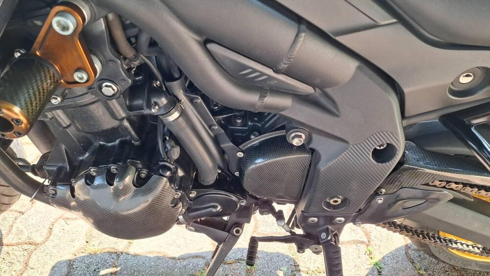 Triumph Tiger 1050 (2006 - 12) (3)