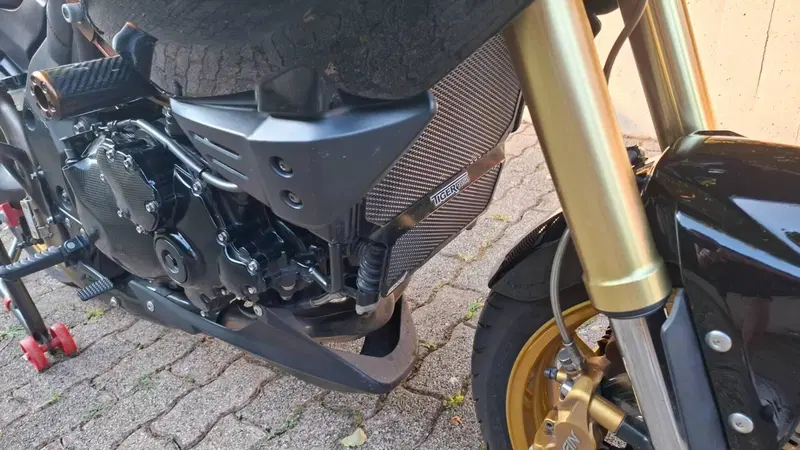 Triumph Tiger 1050 (2006 - 12) (8)