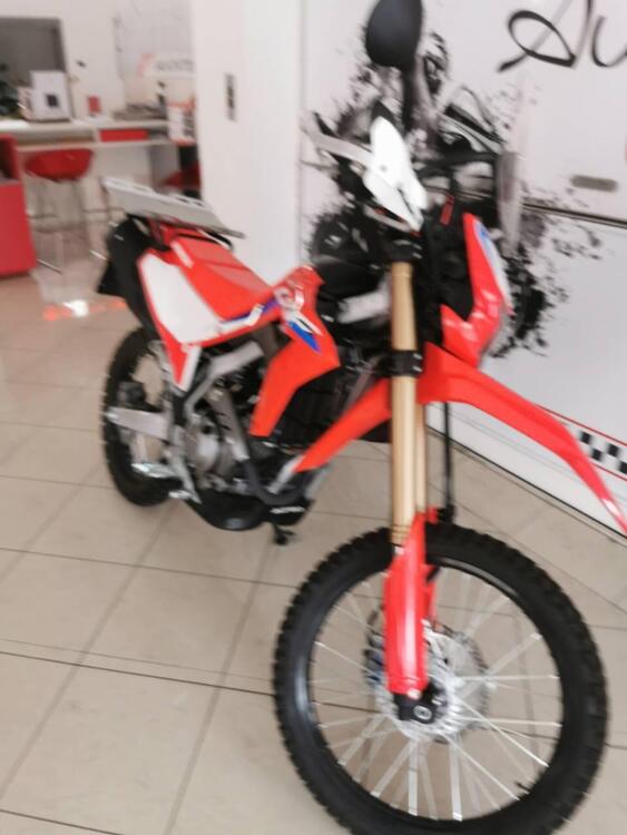 Honda CRF 300 L (2021 - 24) (4)
