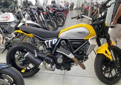 Ducati Scrambler 800 Icon (2023 - 25) nuova