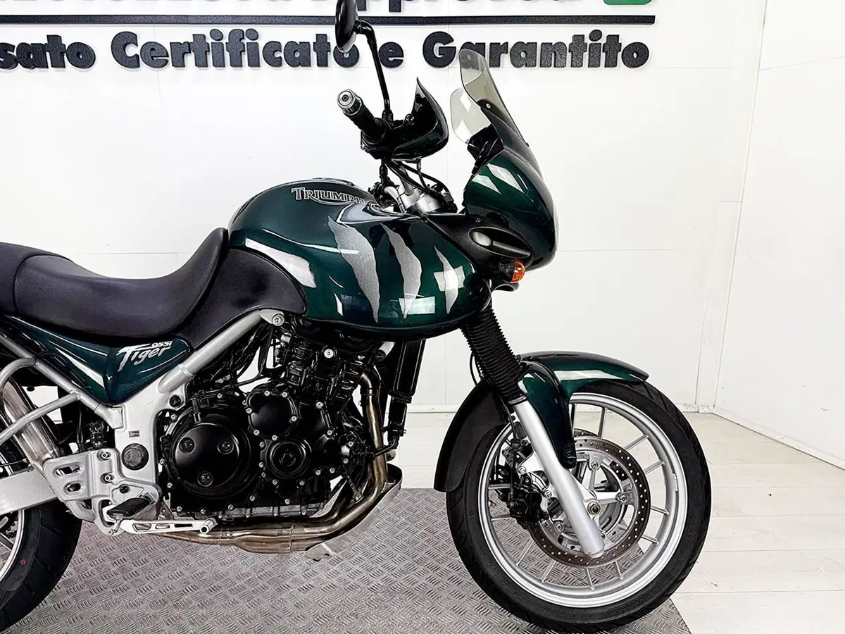 Triumph Tiger 955 (2002 - 06) (9)