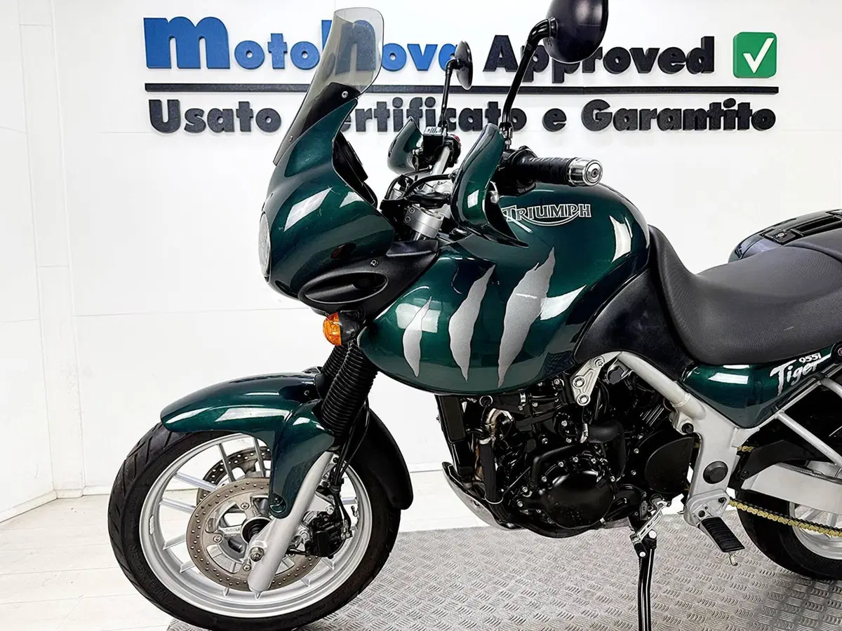 Triumph Tiger 955 (2002 - 06) (13)