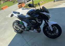Kawasaki Z 800 (2012 - 13) usata
