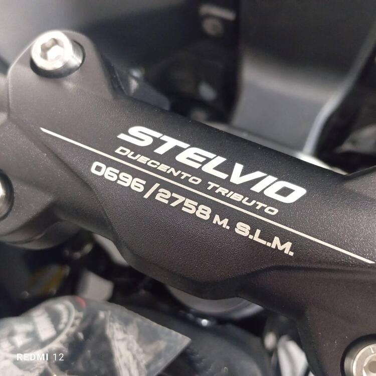 Moto Guzzi Stelvio Duecento Tributo (2025) (4)