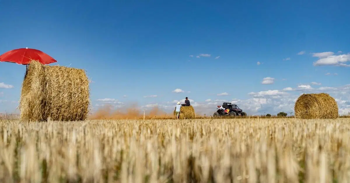 Baja Aragon 2025. I vincitori: Lorenzo Santolino, Sherco, e Jo&atilde;o Ferreira, Toyota