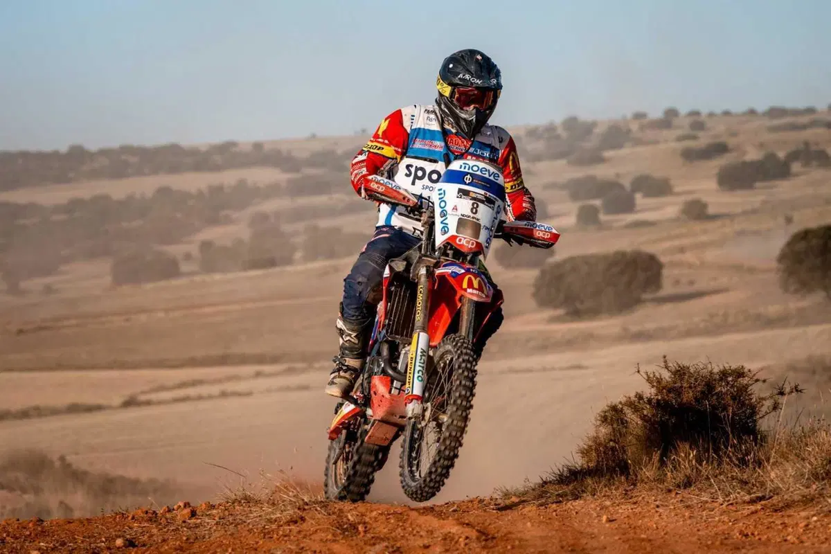 Baja Aragon 2025. I vincitori: Lorenzo Santolino, Sherco, e João Ferreira, Toyota (11)