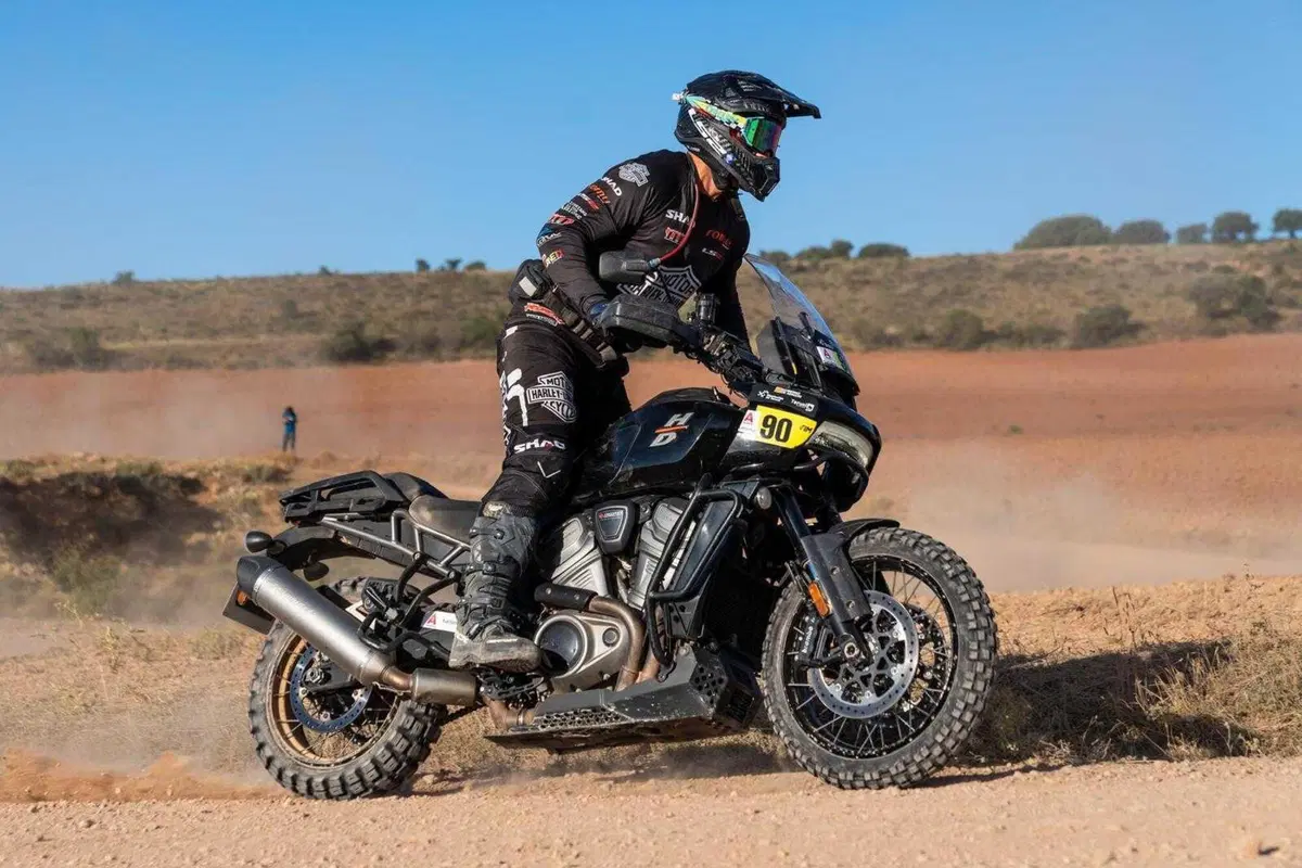 Baja Aragon 2025. I vincitori: Lorenzo Santolino, Sherco, e João Ferreira, Toyota (3)