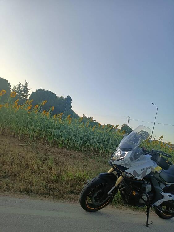 CFMOTO 650MT (2021 - 24) (4)