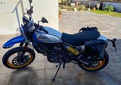 Ducati Scrambler 800 Desert Sled (2021 - 22) usata