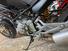 Ducati Monster 600 Dark (2002) (16)