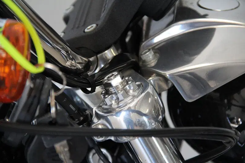 Harley-Davidson 883 Low (2008 - 12) - XL 883L (6)