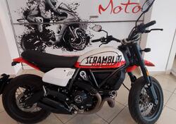 Ducati Scrambler 800 Urban Motard (2022) usata