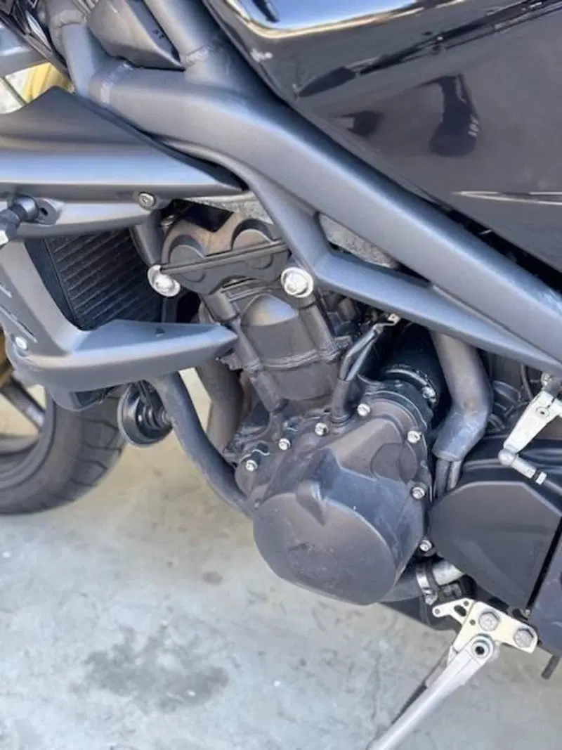 Triumph Street Triple (2007 - 12) (14)