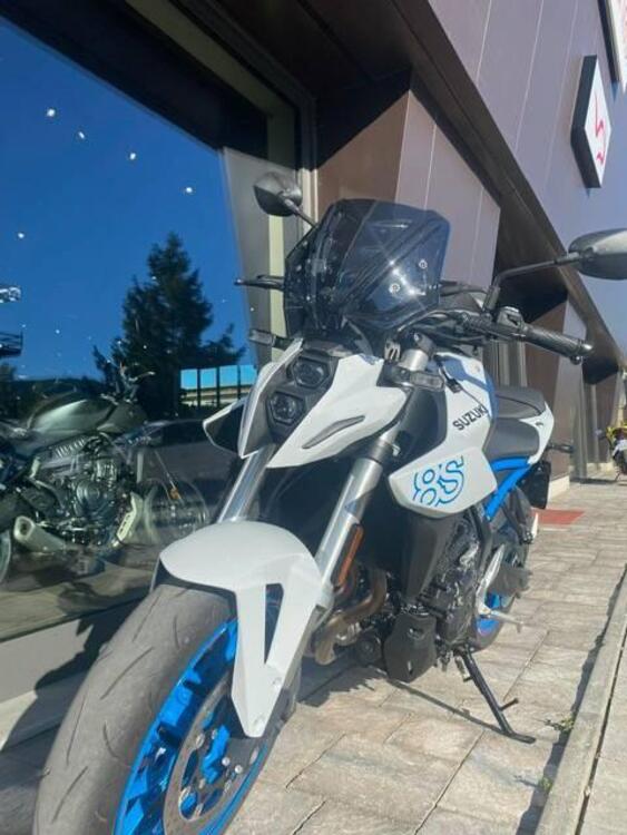 Suzuki GSX-8S (2023 - 24) (3)