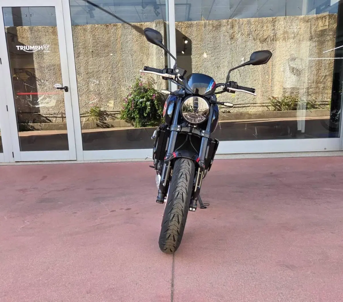 Triumph Trident 660 Triple Tribute Edition (2025 - 26) (5)