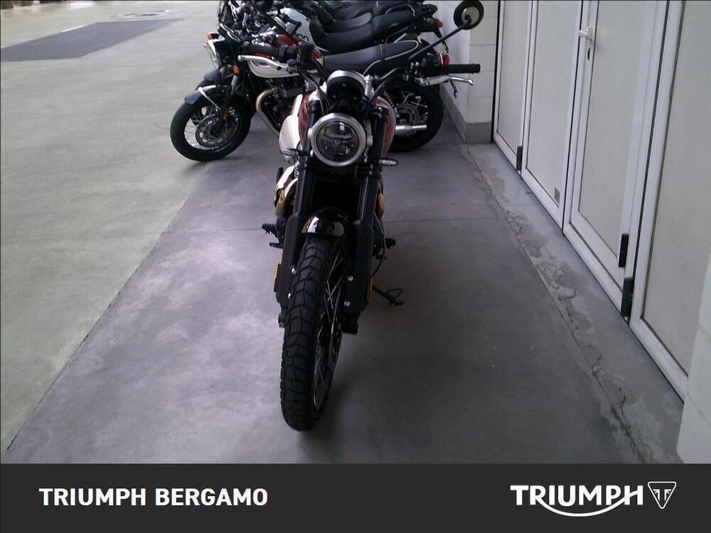 Triumph Scrambler 1200 X (2024 - 25) (5)