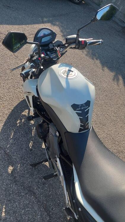 Kawasaki ER-6N (2009 - 11) (3)