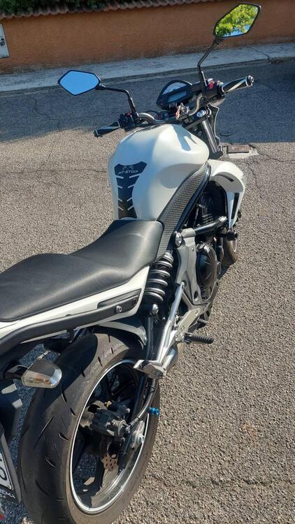 Kawasaki ER-6N (2009 - 11) (4)