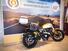 Ducati Scrambler 800 Icon (2023 - 25) (6)