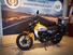 Ducati Scrambler 800 Icon (2023 - 25) (11)