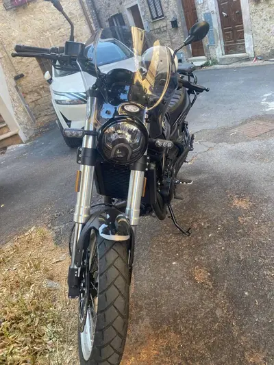 Benelli Leoncino 500 Trail (2021 - 26) usata