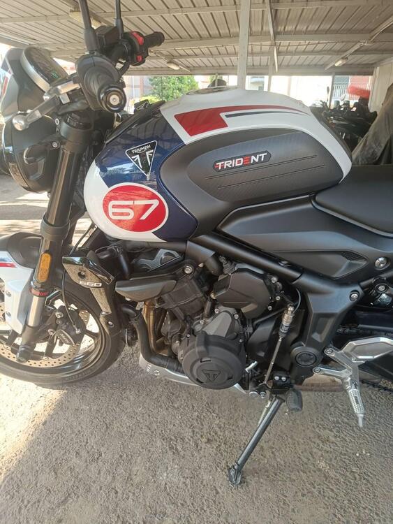 Triumph Trident 660 Triple Tribute Edition (2024)