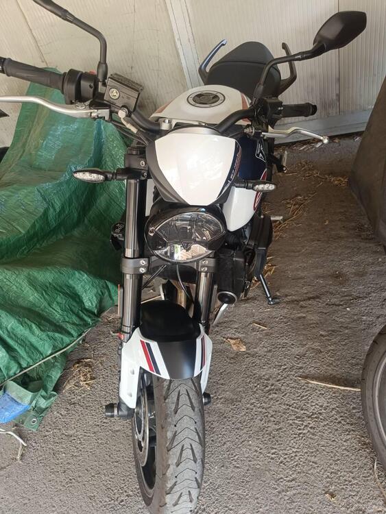 Triumph Trident 660 Triple Tribute Edition (2024) (2)