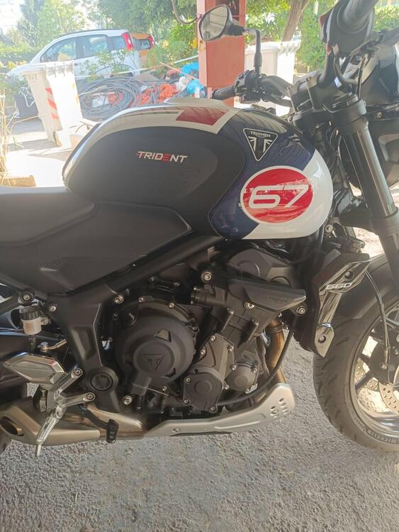 Triumph Trident 660 Triple Tribute Edition (2024) (3)