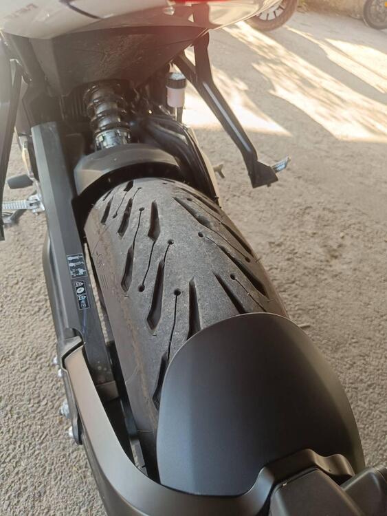 Triumph Trident 660 Triple Tribute Edition (2024) (5)