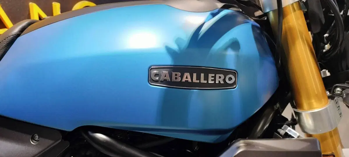 Fantic Motor Caballero 700 Scrambler (2025 - 26) (3)