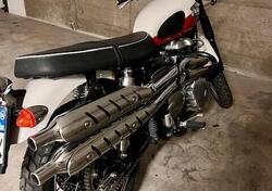 Triumph Scrambler (2006 - 17) usata