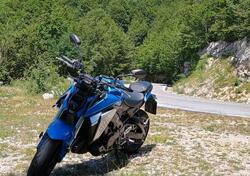 Suzuki GSX-S950 (2021 - 23) usata