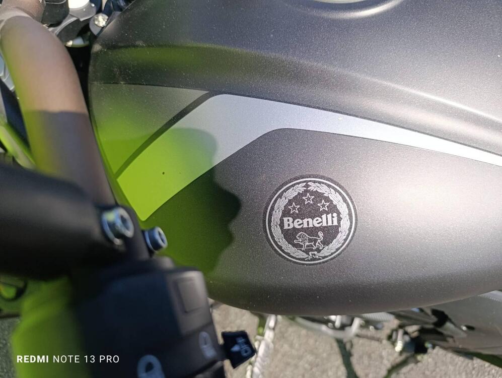 Benelli 502 C (2019 - 20) (5)